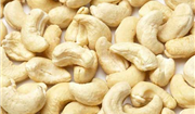 CASHEW KERNEL WW240